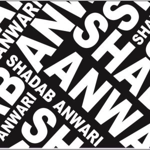 Shadab Anwari & Associates.