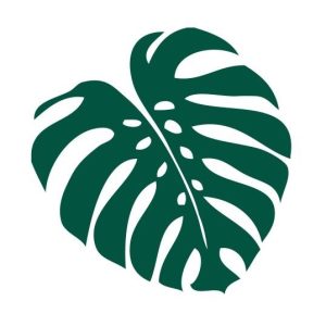 Folha Paisagismo