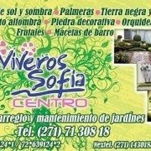 Vivero Sofia