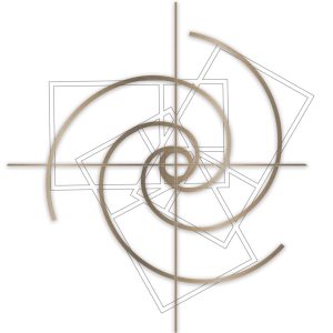 Shell Studio