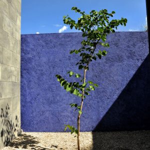 [TT ARQUITECTOS]