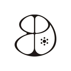 Pedro Braga Design