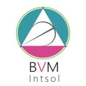 BVM Intsol Pvt Limited