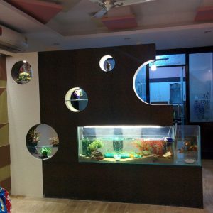 Design Kreations