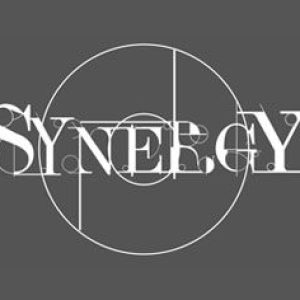 Synergy Architecture and Interiors