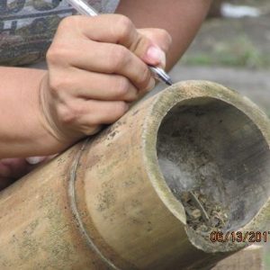 GUADUA Y BAMBU COLOMBIA
