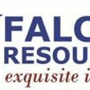 Falcon Resources