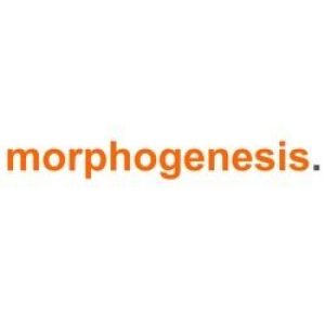 Morphogenesis