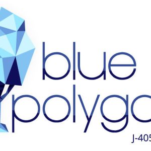 BLUE POLYGON C.A.