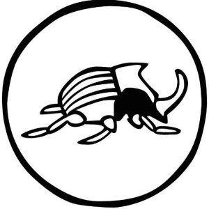GOYO ESTUDIO