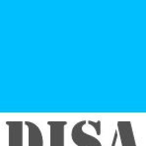 DISA Consultants