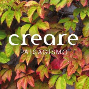 creare paisagismo