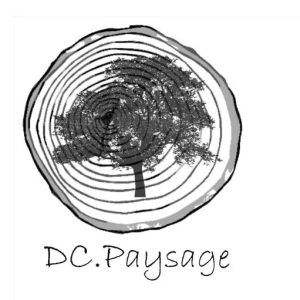 DCPAYSAGE
