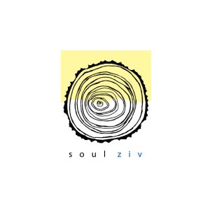Soul Ziv Architecture