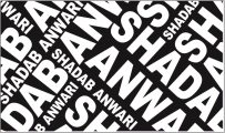 Shadab Anwari & Associates.