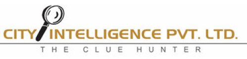cityintelligence