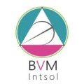 BVM Intsol Pvt Limited