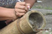 GUADUA Y BAMBU COLOMBIA