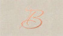 Bespoke Design