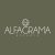 Alfagrama estudio