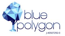 BLUE POLYGON C.A.