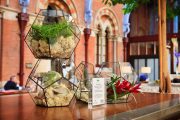 The Urban Botanist