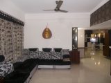 wynall interiors