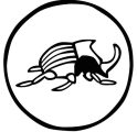 GOYO ESTUDIO