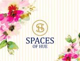Spaces Of Hue