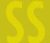 SS Developers