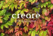 creare paisagismo