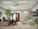 Modern ceilings