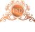 Pranay Shah Designs