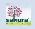 Sakura Ah?ap